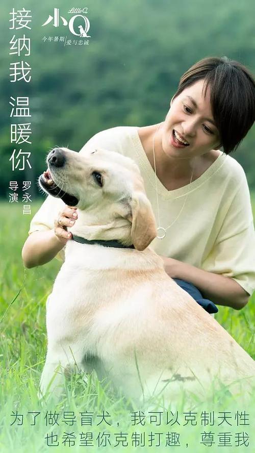 美国苹果id退款